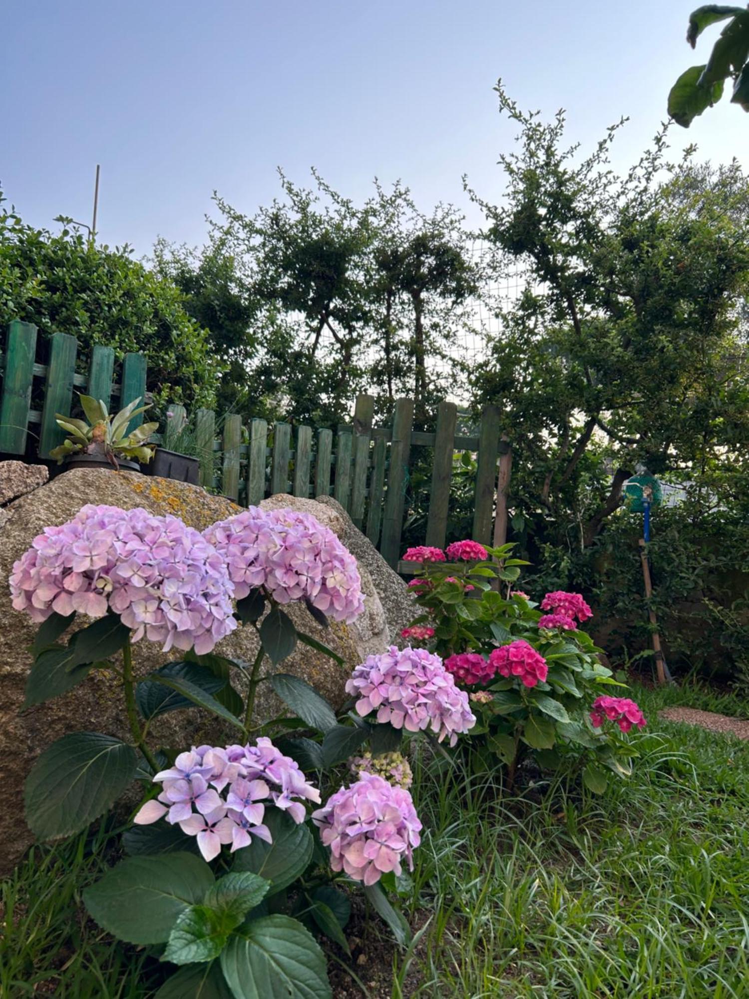 Apartamento Alto Giardino Zambrone Exterior foto