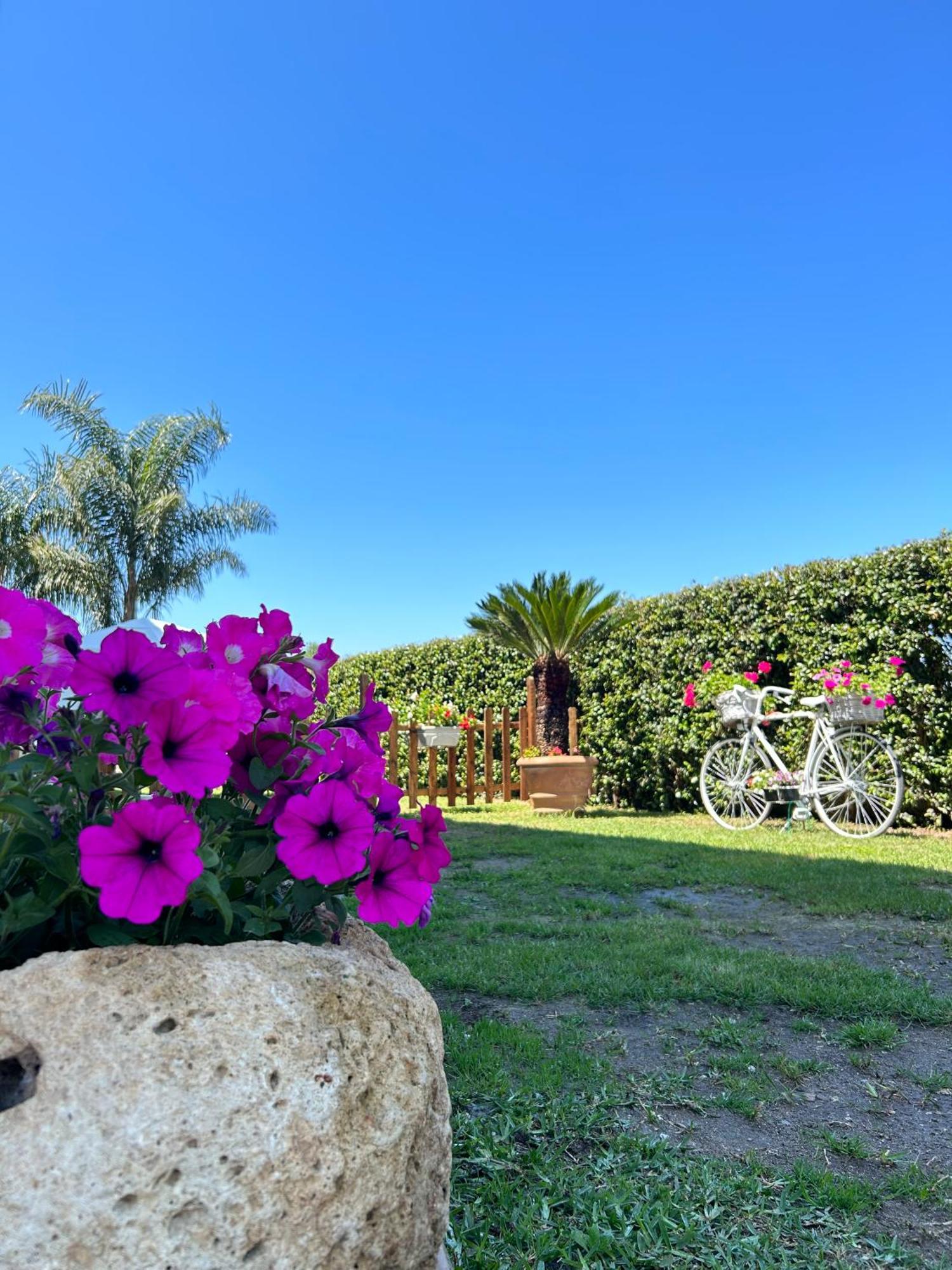 Apartamento Alto Giardino Zambrone Exterior foto