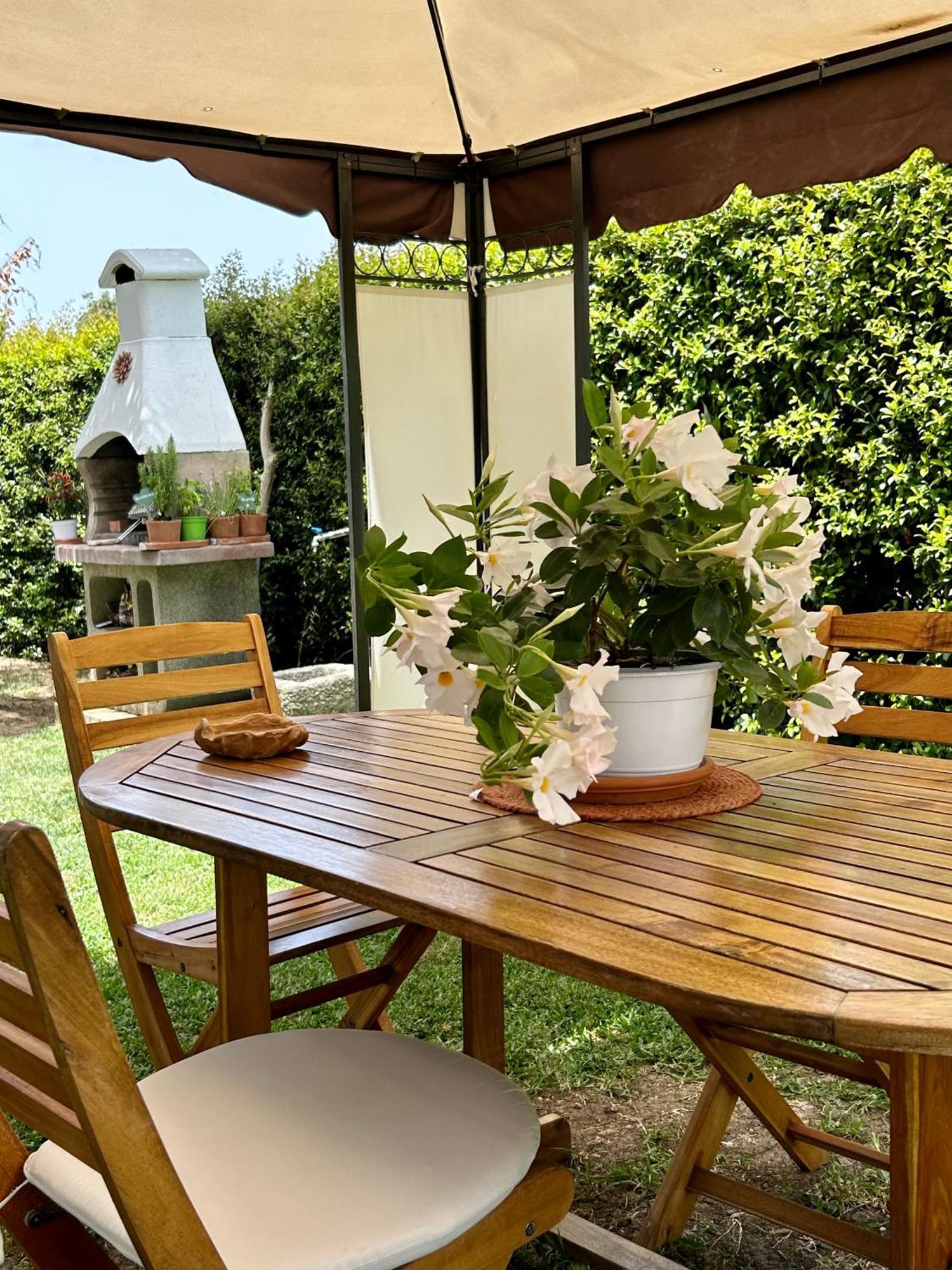 Apartamento Alto Giardino Zambrone Exterior foto