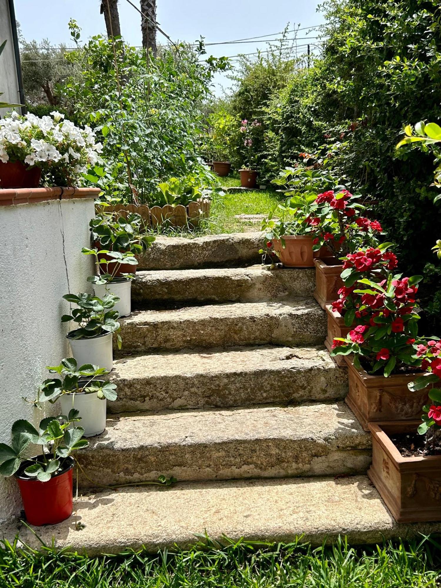 Apartamento Alto Giardino Zambrone Exterior foto